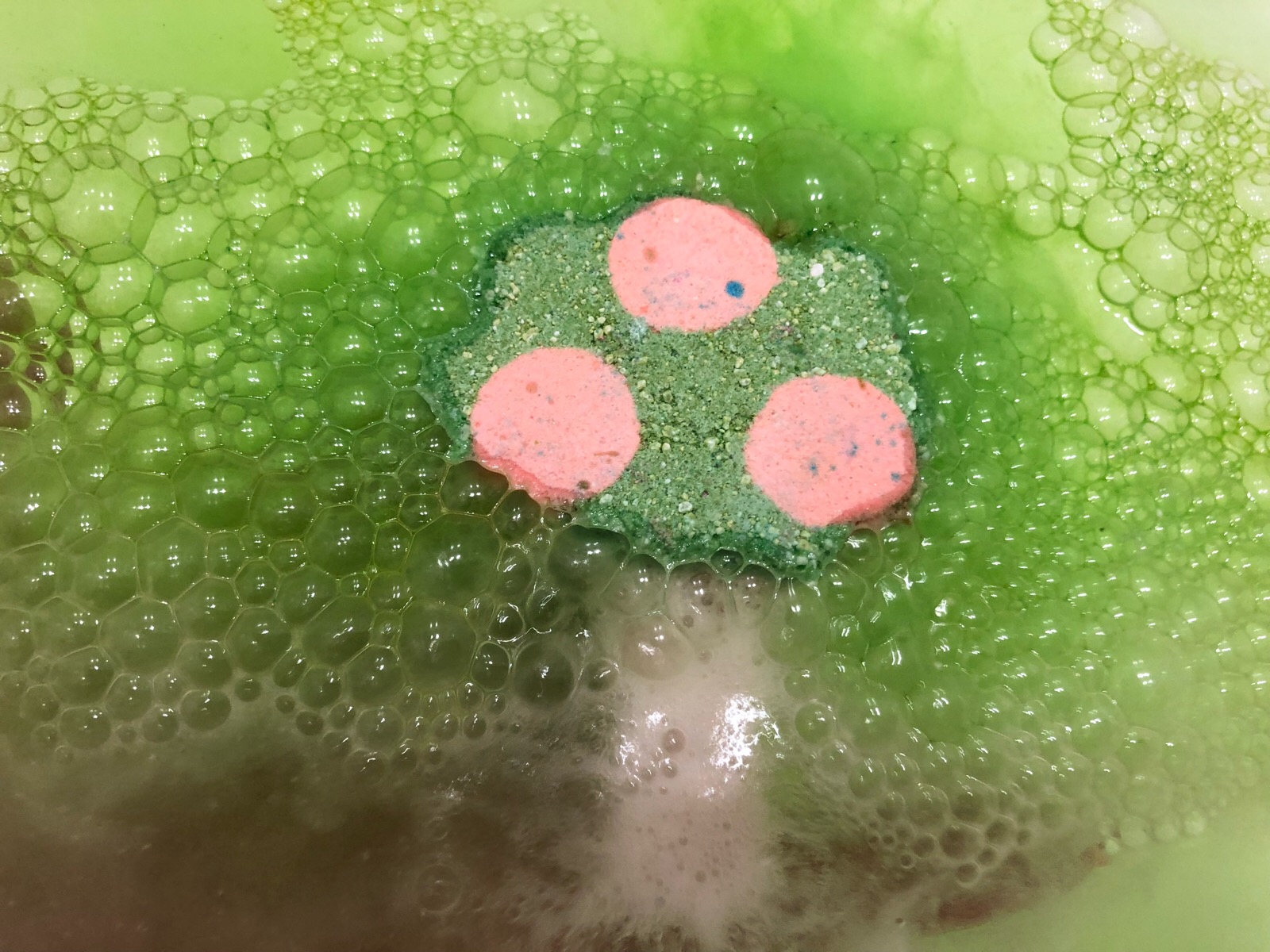 Under the Umbrella Tree Lush Encyclopedia Blog